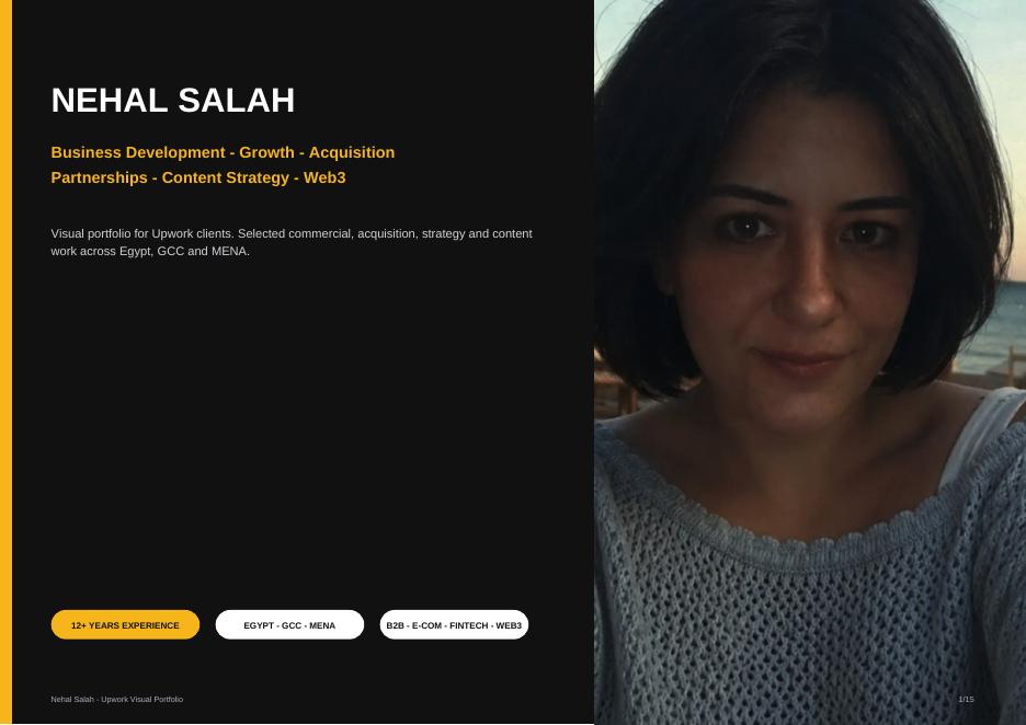 Cover page of the Nehal Salah & Co. visual portfolio PDF